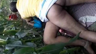 Indian older woman engages in outdoor sex in a sugarcane field