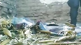 Desi mms sex scandal village bhabha in trio