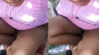 Desi lovers have sex outdoors, filmed on camera