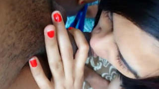 Zoya Bhabi's oral and anal pleasure in a sensual session